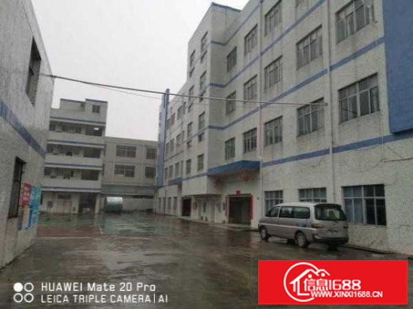 出租坑梓沙田社区独院