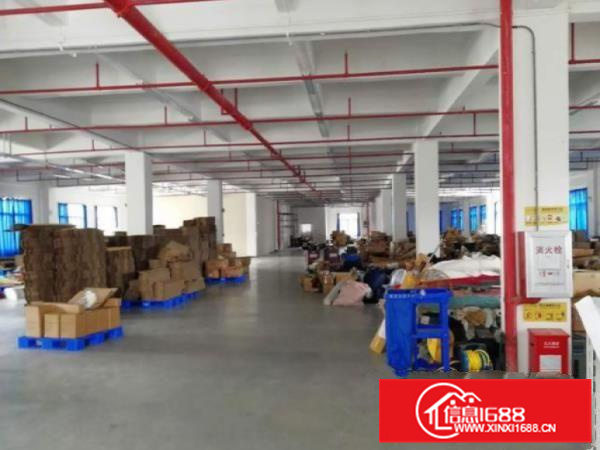 长布村工业区原房东一楼厂房890平方带装修