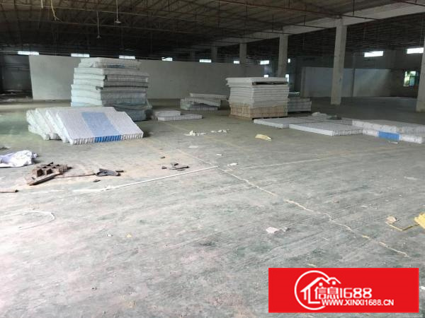 秋长镇新出原房东6000平方独门独院标准钢构厂房