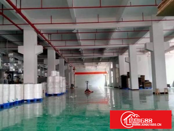 原房东独门独院空地大分租厂房