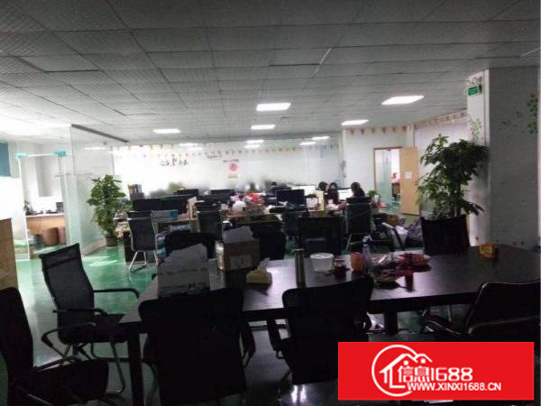 坂田亚洲工业园上240平米电商仓库出租带装修