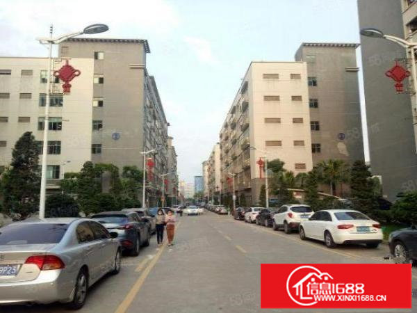 大浪独院工业园仓库厂房出租5万平带精装厂房分租300平起租