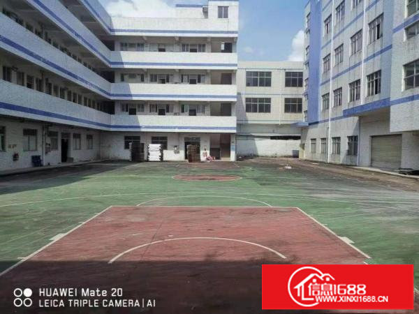 坪山区坑梓新出独院厂房4层7500平出租分租