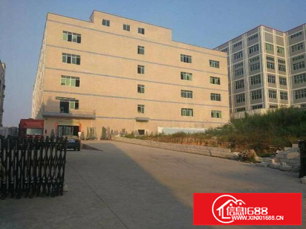 独门独院一楼2500平