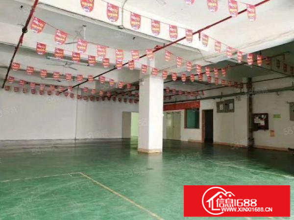 龙华大浪南路一楼700平标准厂房出租