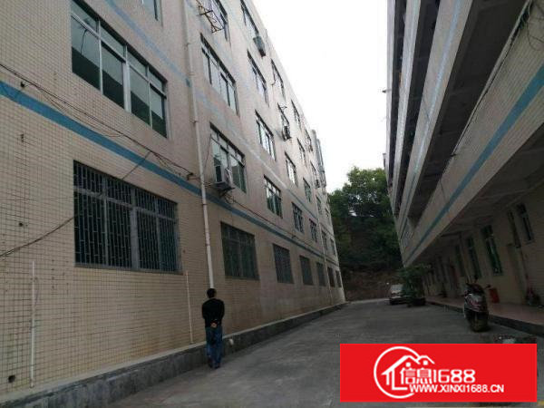 龙岗平湖清平高速附近原房东一二楼厂房出租