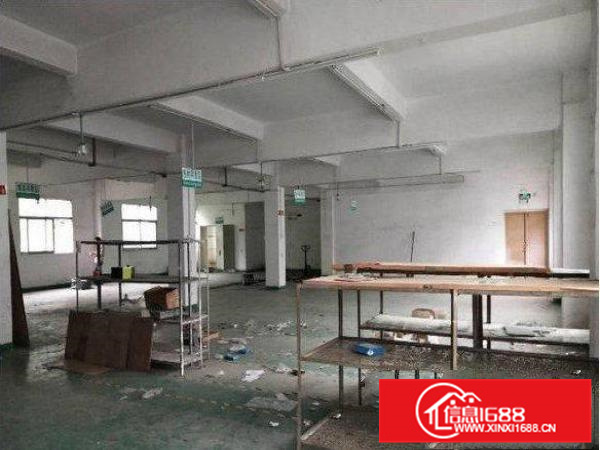 镇隆新出2700平米经典小独院厂房招租中