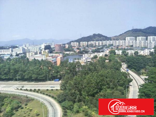 全新厂房一楼楼上大小可分