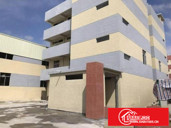 企石9成新单一层独院1500平空地一千好形象大气