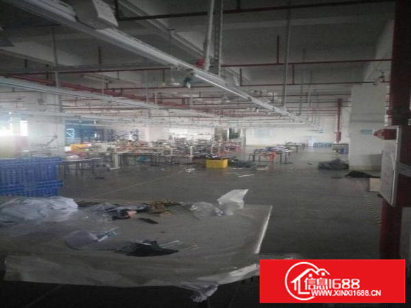 虎门镇南栅靠沿江高速靠长安1300平米整层厂房出租