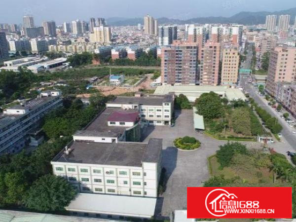 常平镇上市公司的15000方厂房