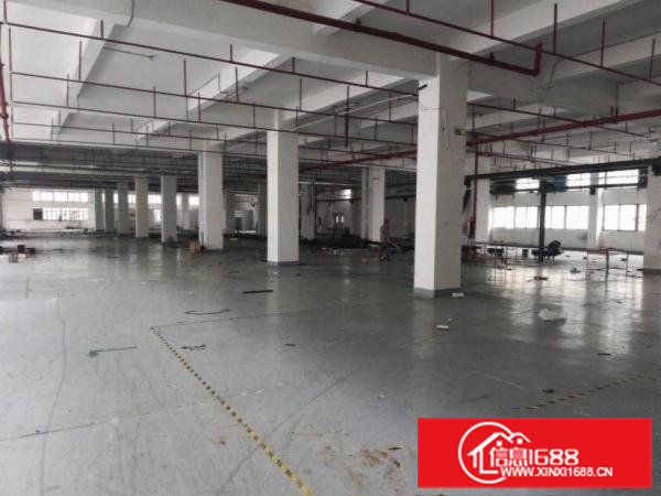 青皇西南新出独院2200平方厂房可以分租450平方