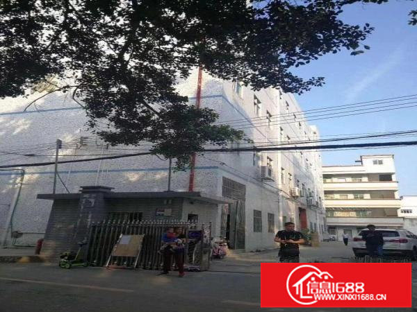 龙岗龙东独院4600平带装修电梯可分租