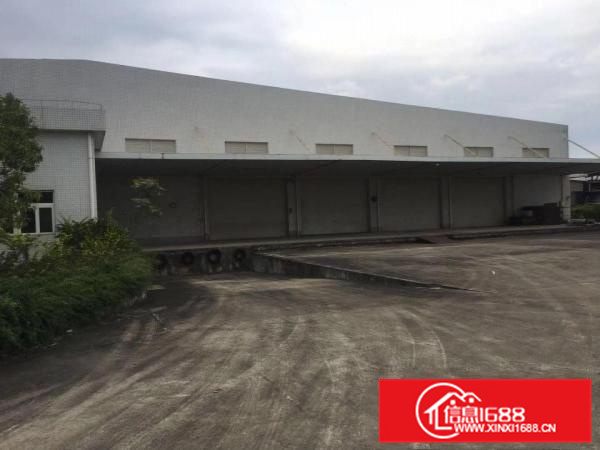 金龙大道边10高标准钢结构厂房出租15000平方