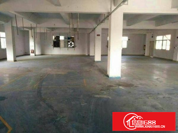 常平元江元一楼2000平米招租,可分租