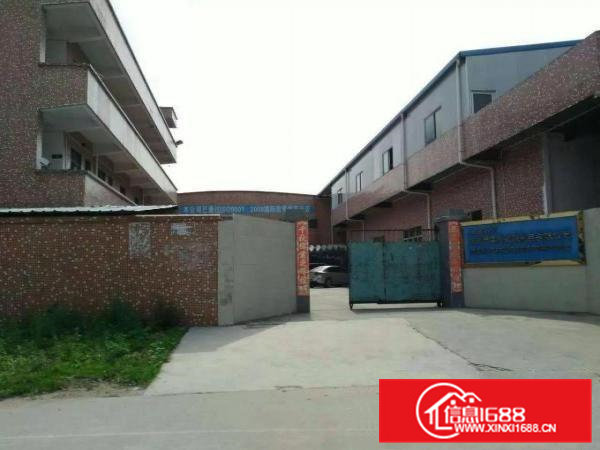 横沥工新出单一层独院1500平空地一千好进货柜车