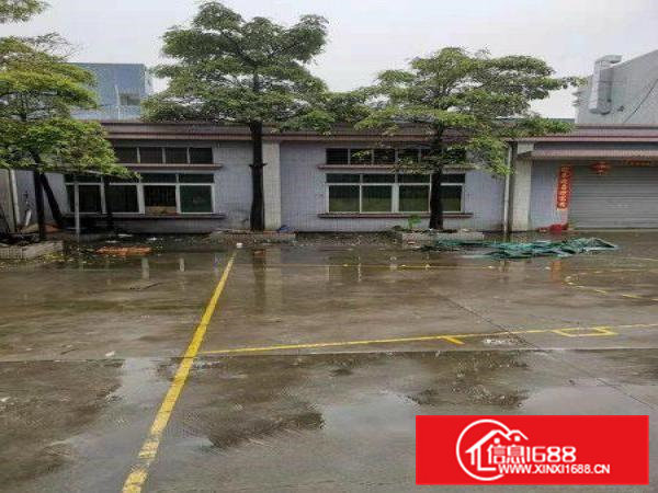 石排独门独院原房东厂房1000平方火爆抢租