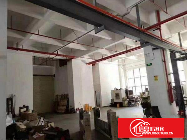 田心厂房招租一楼实际面积1420平方带精装水电