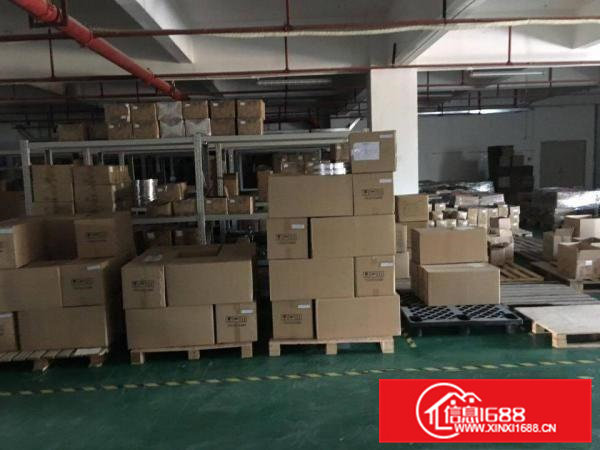 东莞市虎门镇原房东红本厂房出租，独院厂房招租