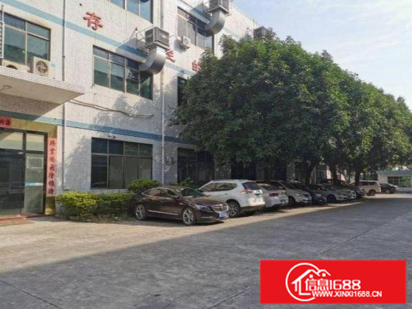 护安围村标准一楼300平米，带精装修办公室厂房出租