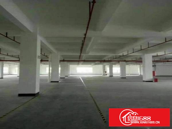 龙岗坪地新出1楼1000平厂房出租