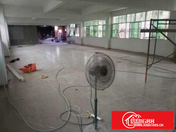 出租龙岗区横岗沙荷路边厂房