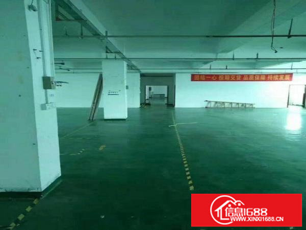 坂田上雪科技园300平500平1000平带装修