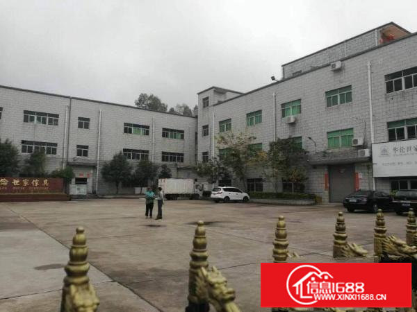 龙岗同乐原房东12楼1900平米厂房出租