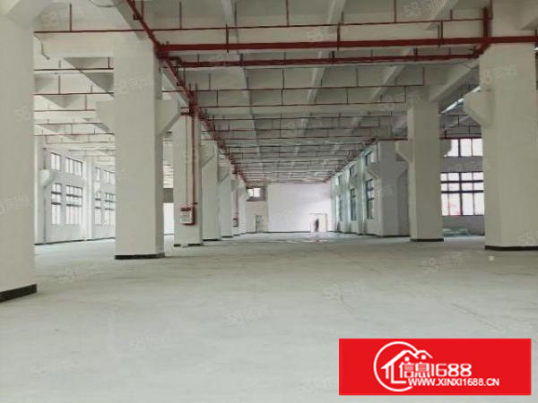 寮步石龙坑村委附近新出带牛角标准厂房450起分，九成新