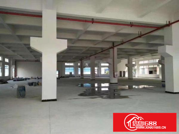 急，急，急，给钱就放租