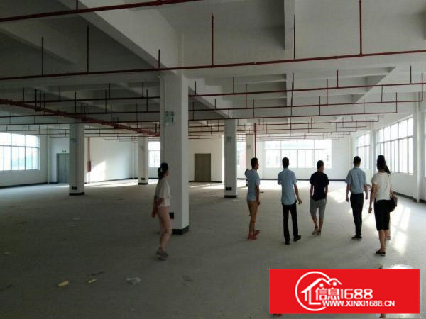 潼侨工业园宏村原房东分租一楼标准厂房900平招租