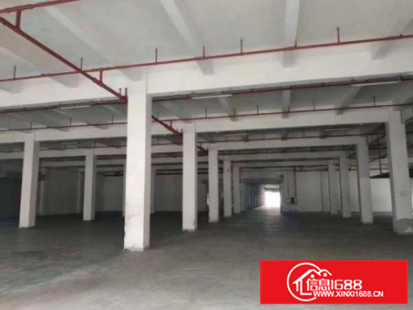 茶山卢边村厂房一楼1200平出租，高7米