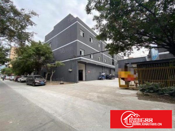 厦岗嘉荣购物广场附近楼上500平方（可分租）