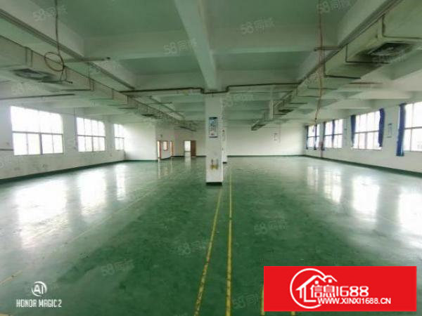 松岗独门独院，13层4500平。