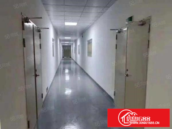 新出整层2楼1300平原房东厂房带精装修可分租