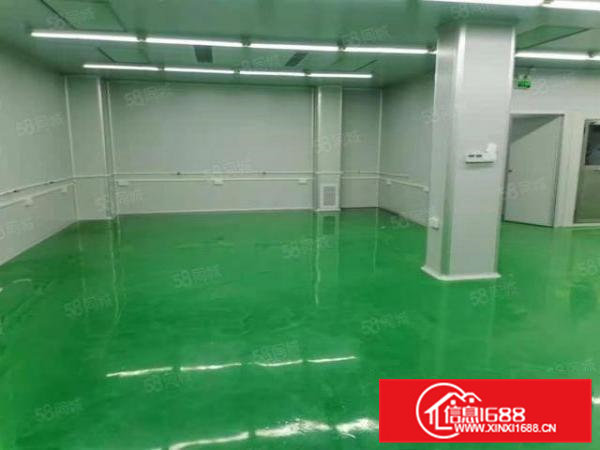 大岭山无尘车间450平方厂房出租，原房东小面积单一层精装修