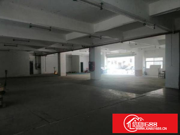 原房东厂房出租，带红本