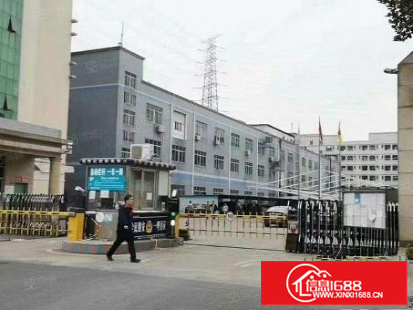 原房东独院厂房出租一楼带行车900平方