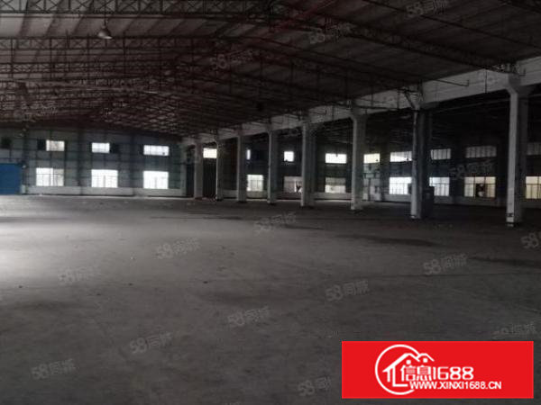 大岭山新出独院钢构6万平出租，滴水9米带卸货平台，大小可分租