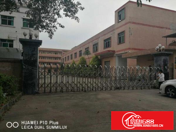 出租清溪大利村精品厂房出租带装修办公室