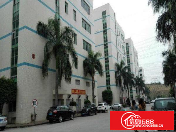 坂田龙壁工业区1300㎡一手房东面积使用率95%