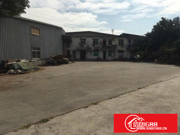 茶山塘角钢结构铁皮房独门独院3000平方空地超大11元出租