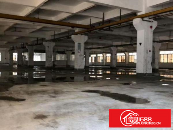 万江石美中心地段一6米仓库厂房出租910平米