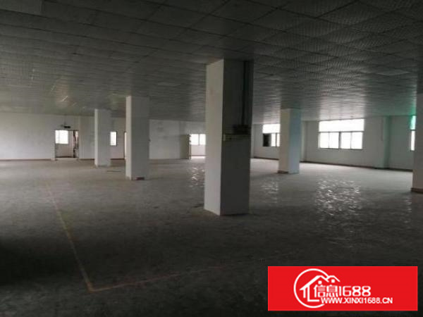 石岩料坑1300平精装修厂房出租