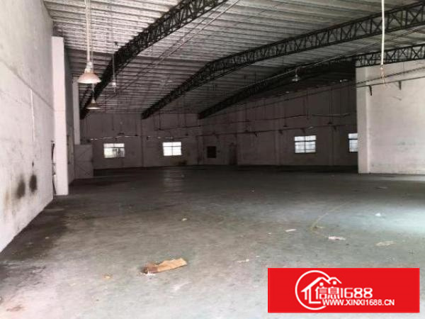 茶山原房东铁皮厂房出租无公摊送一百多平方小院子