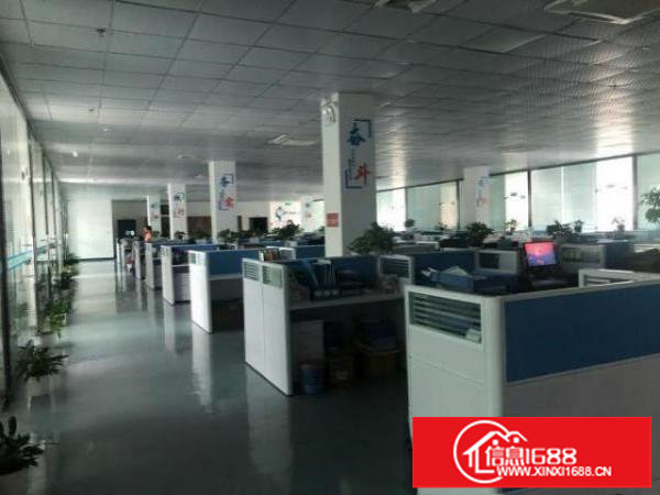 福永桥头新出楼上1500精装修厂房