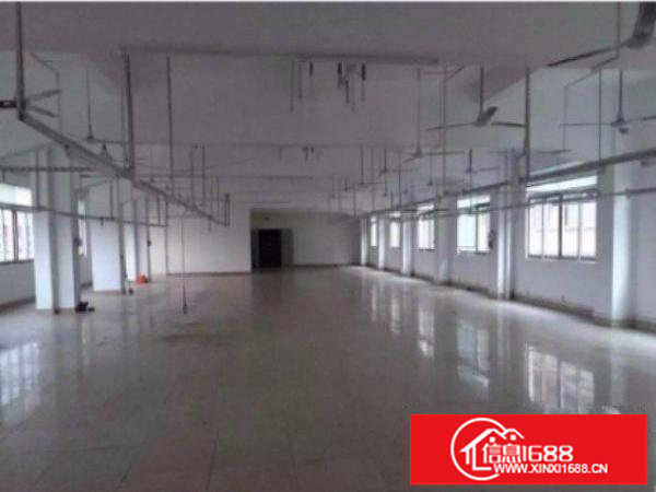 平湖鹅公岭新出标准厂房楼上1200平出租水电齐全空地大