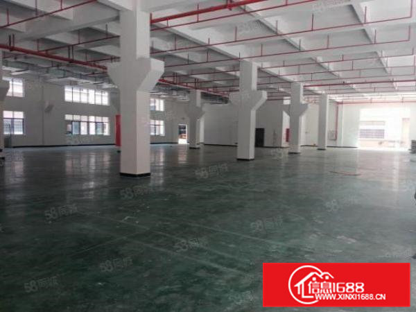 清溪原房东红本厂房出租1万8千平一楼层高7米带牛角5百平起分