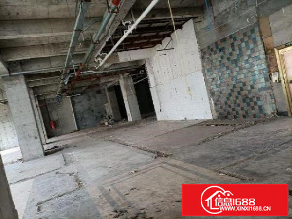 六月金鹏物流园附近3300平方厂房出租