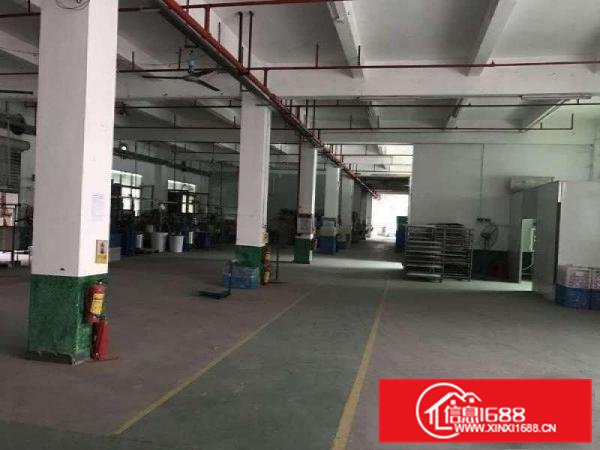 出租东莞周边清溪镇罗马超靓的6米高带牛脚标准一楼1680平方